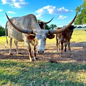 SALE SALE SALE. GET THIS STUFF GONE. DETAILS vvv